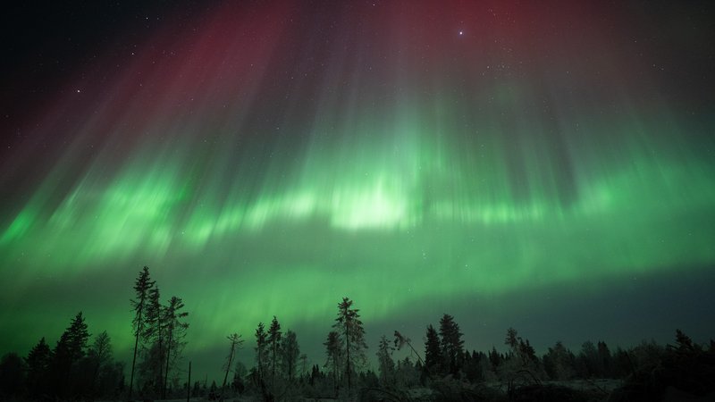 The Sámi People: Guardians of the Arctic