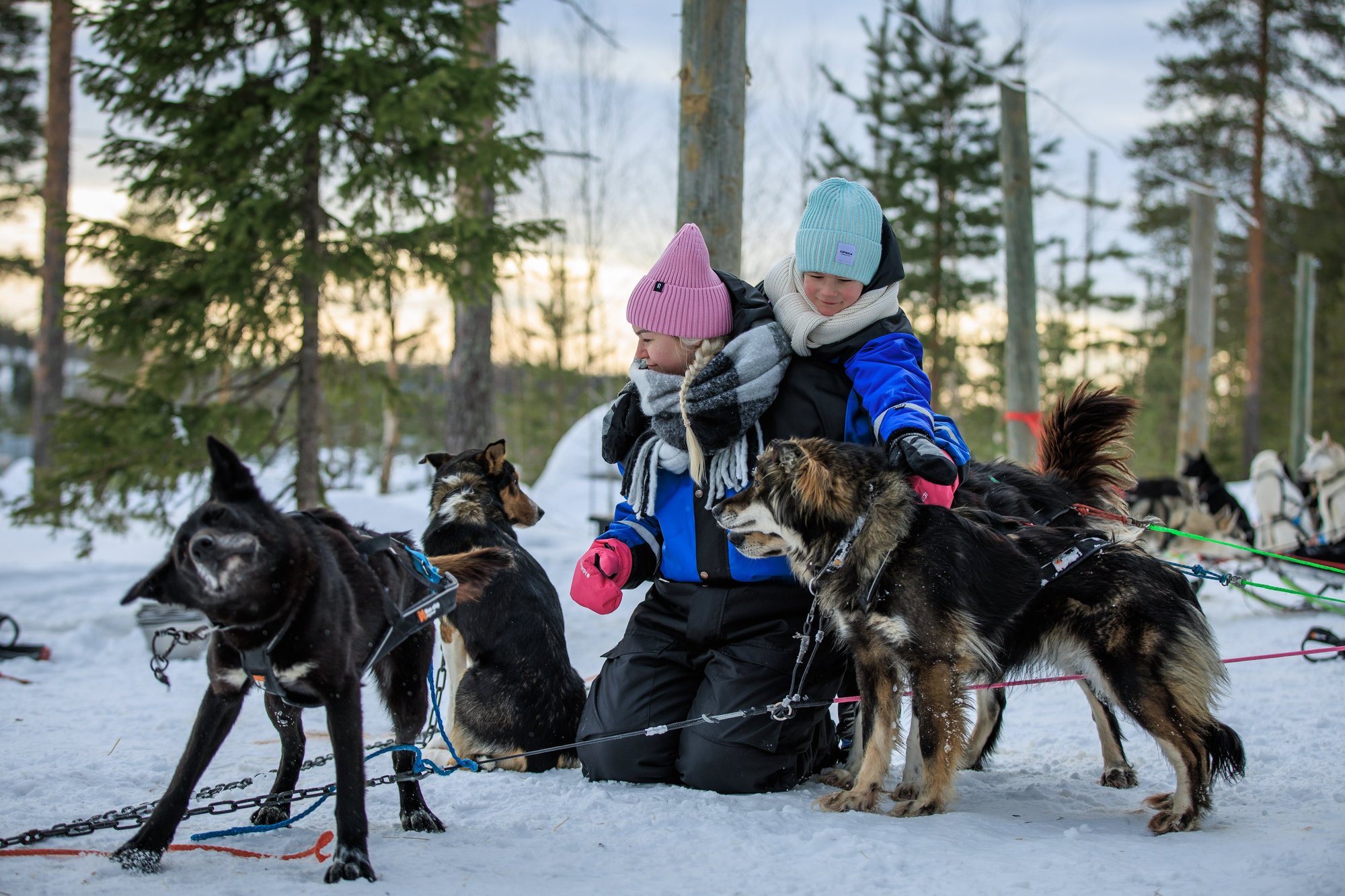 Rovaniemi: Santa Claus Village, Husky & Reindeer Tour